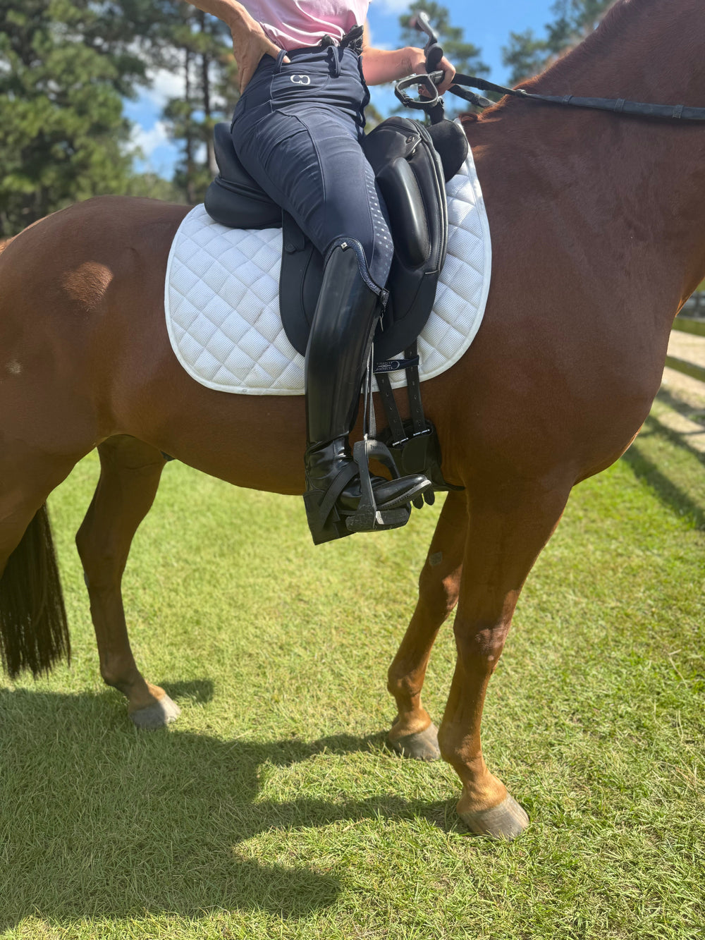 Equisole EXternal-Weighted Training Aid for Equestrians - Equine Exchange Tack Shop