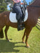 Equisole EXternal-Weighted Training Aid for Equestrians - Equine Exchange Tack Shop