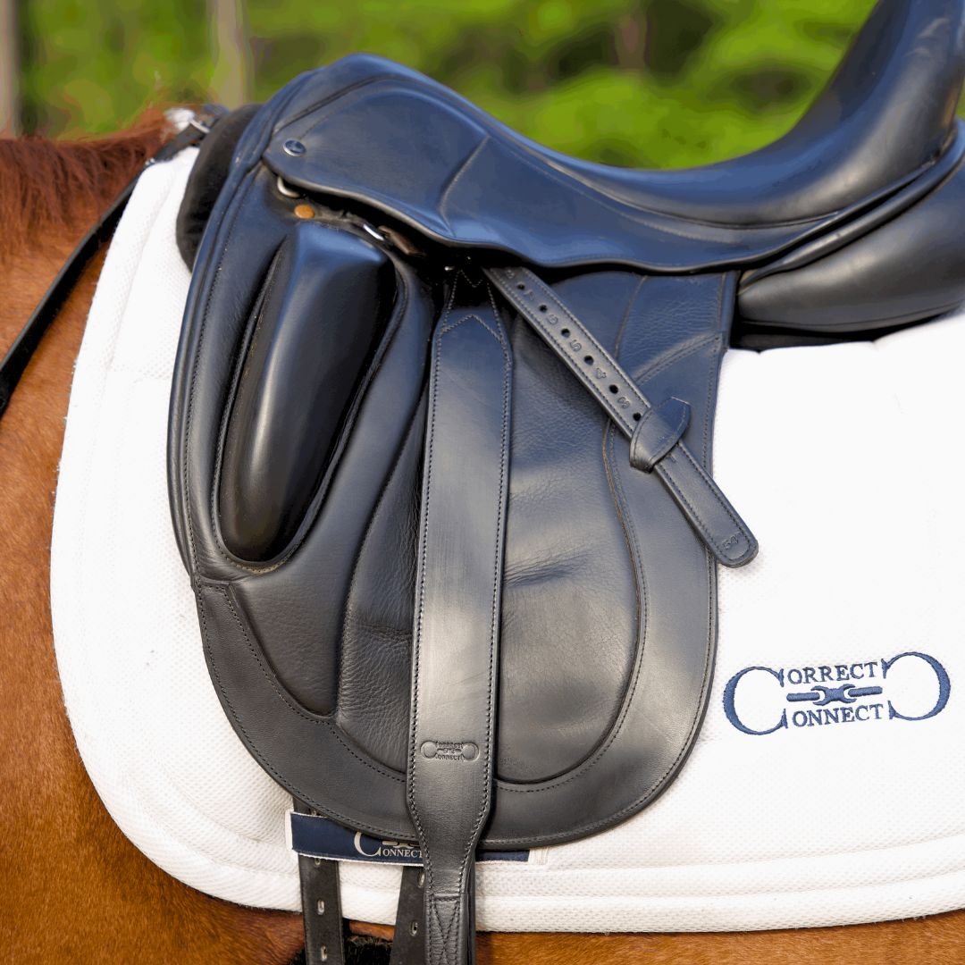 Staffe In Pelle Morbida Per Equitazione - Cwell Equine Softy English, Marrone 54", Fori Numerati