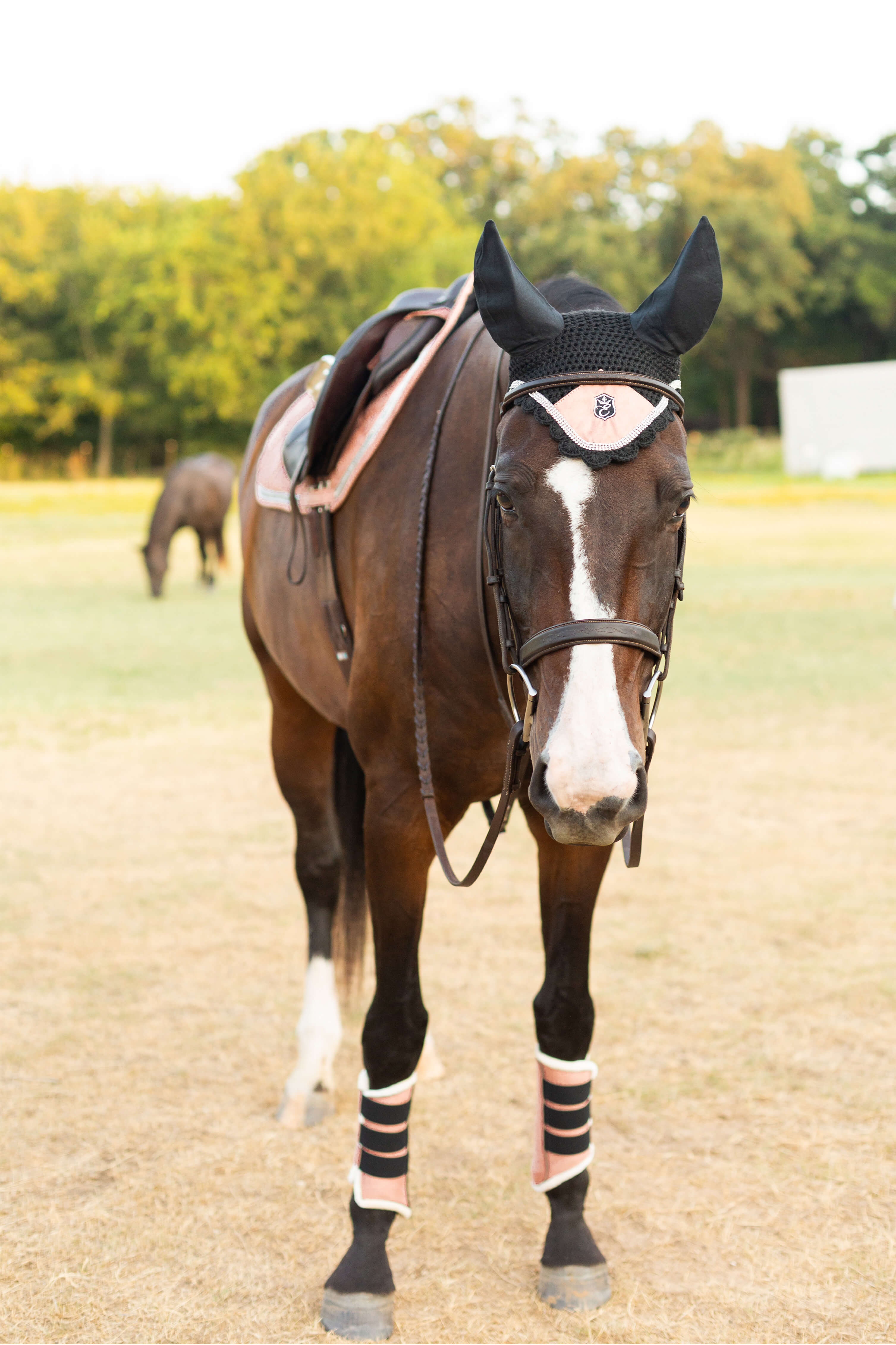 Powder Pink Suede Saddle Pad Set - Equine Exchange Tack Shop