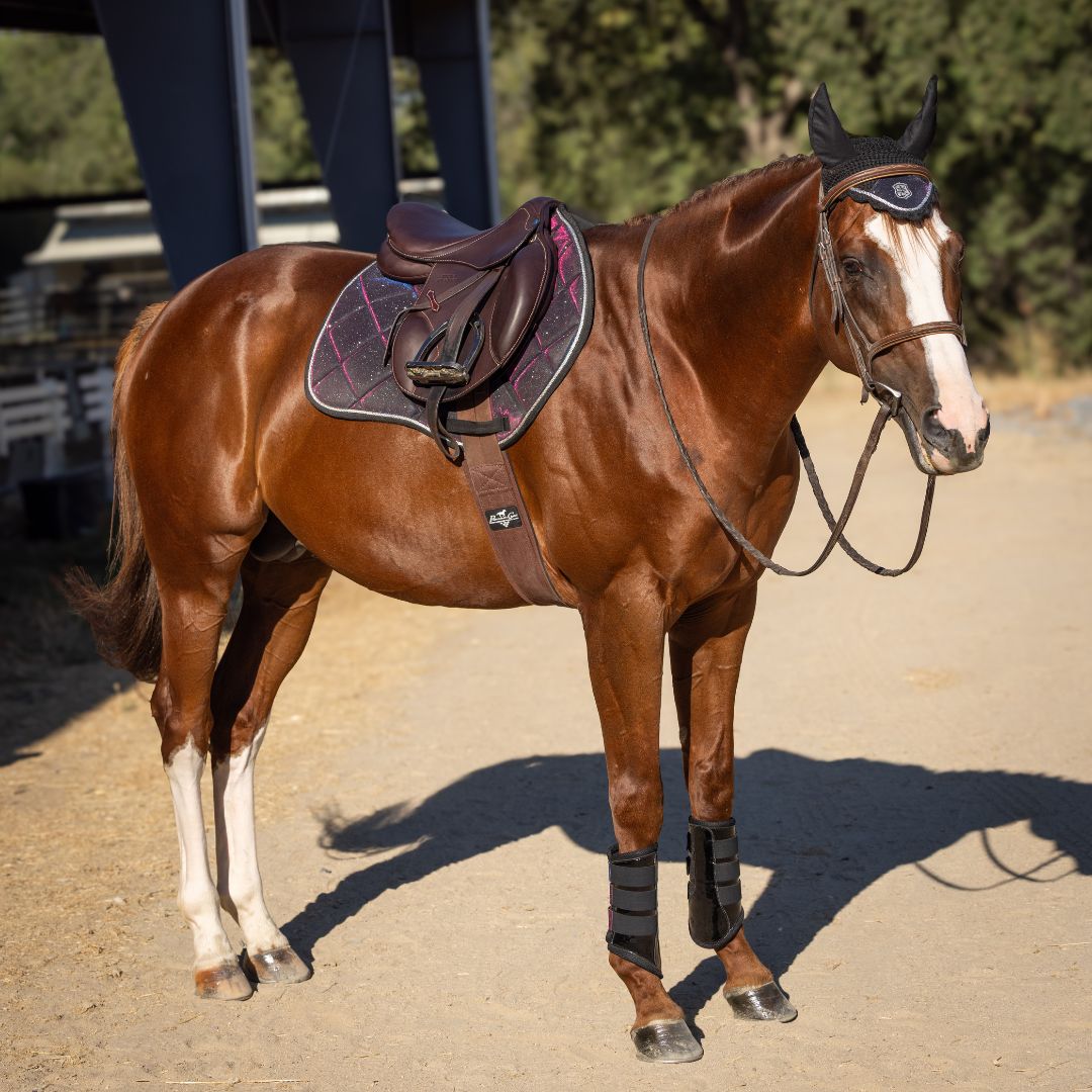 Ultraviolet Saddle Pad Set - Equine Exchange Tack Shop
