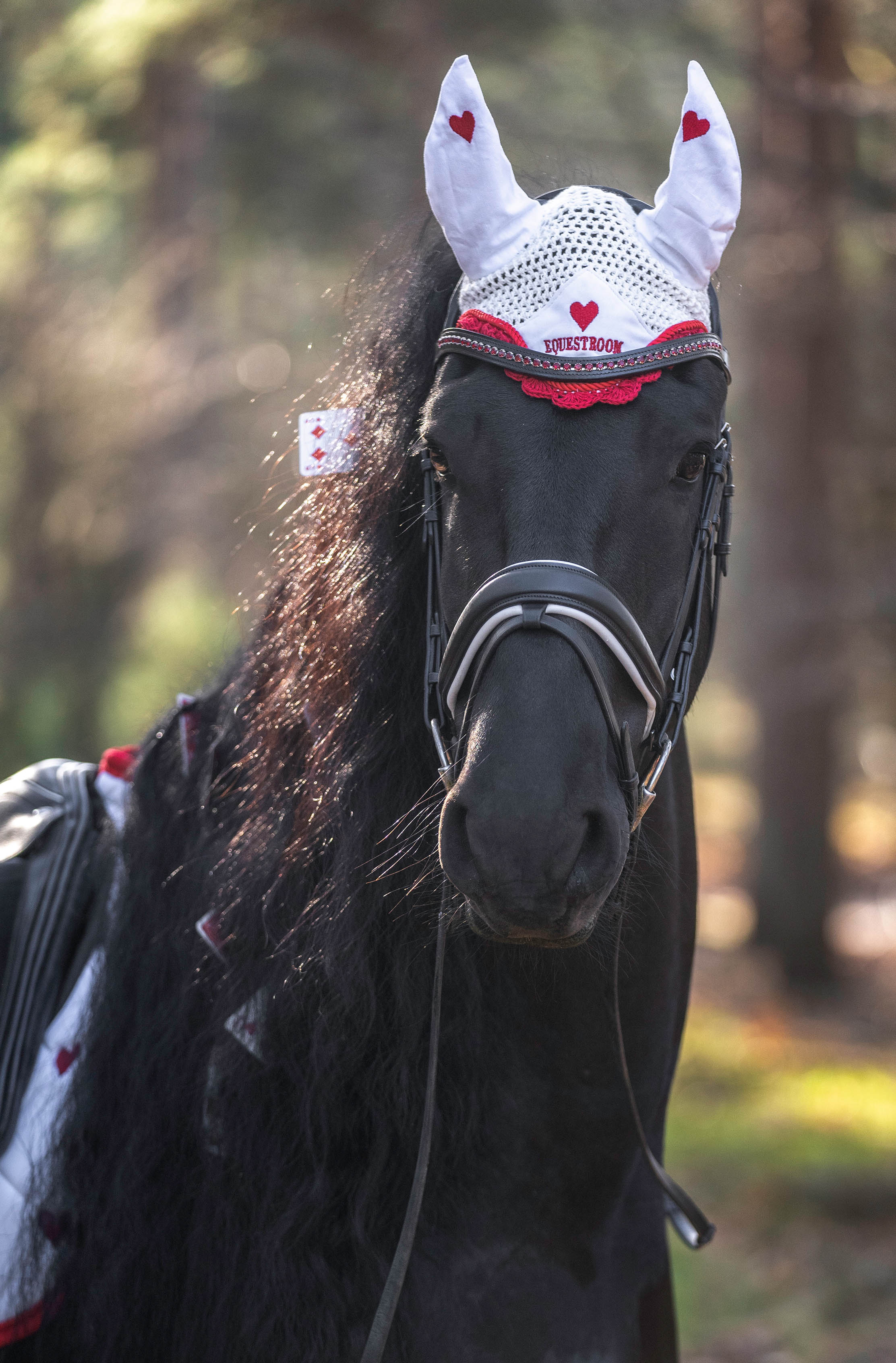 Ruby Red Crystal Browband - Equine Exchange Tack Shop