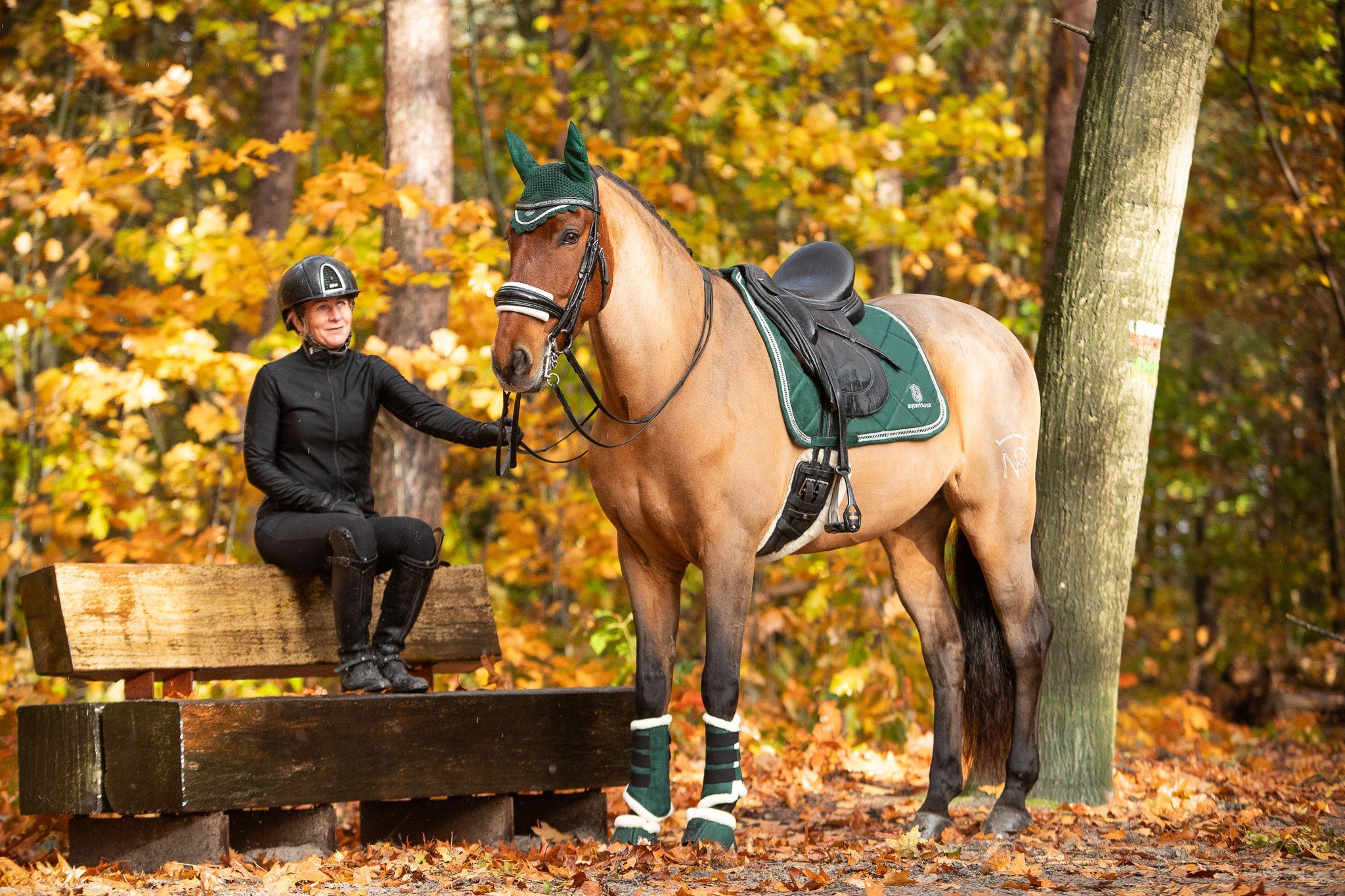 Pine Grove Saddle Pad Set - Equine Exchange Tack Shop