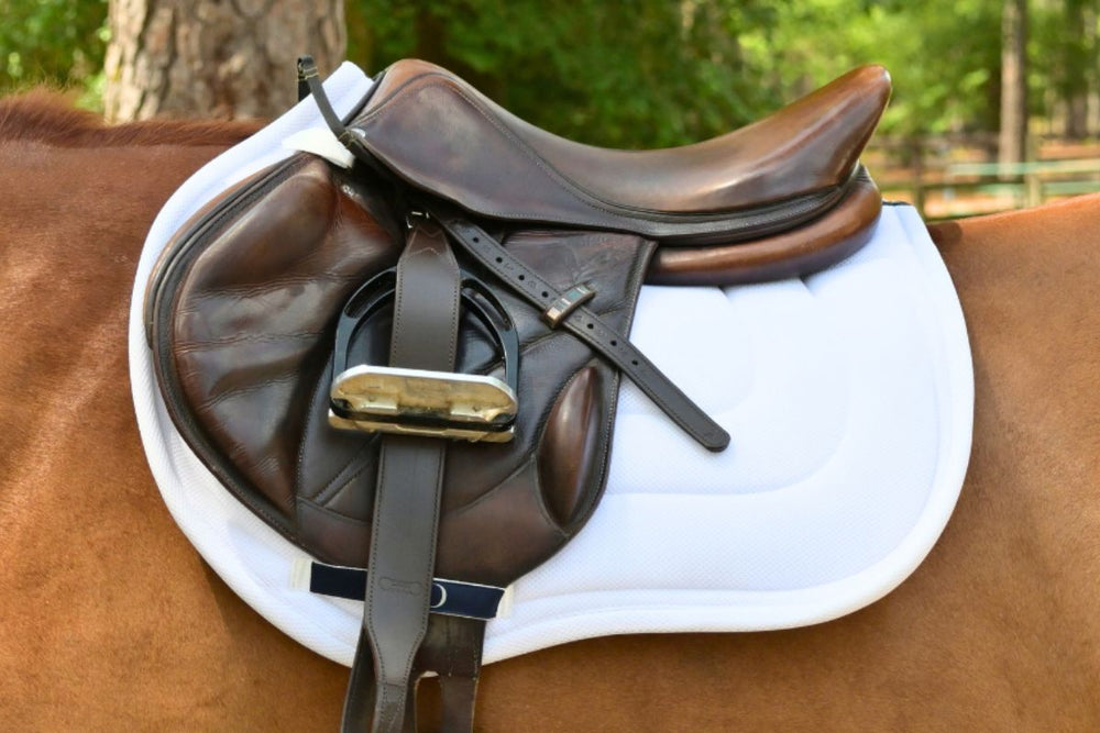 General Purpose Mesh Saddle Pad with Quick Dry Cotton Lining in Navy, White, or Black - Equine Exchange Tack Shop