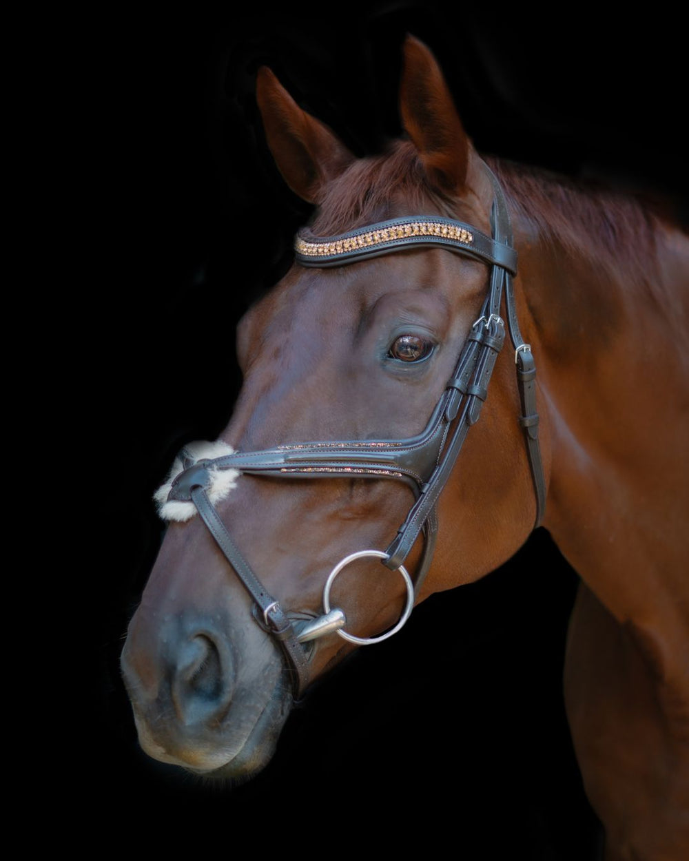 Hidden Flash!  Pro-fit Comfortable Bridle with Patent Noseband and Crystal Browband - Equine Exchange Tack Shop