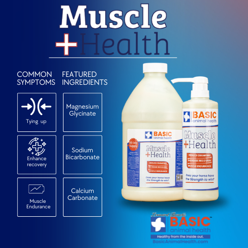 MuscleHealth Gel Supplement for Horses - Bottles - Equine Exchange Tack Shop