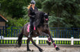 Neon Pink Brushing Boots - Equine Exchange Tack Shop