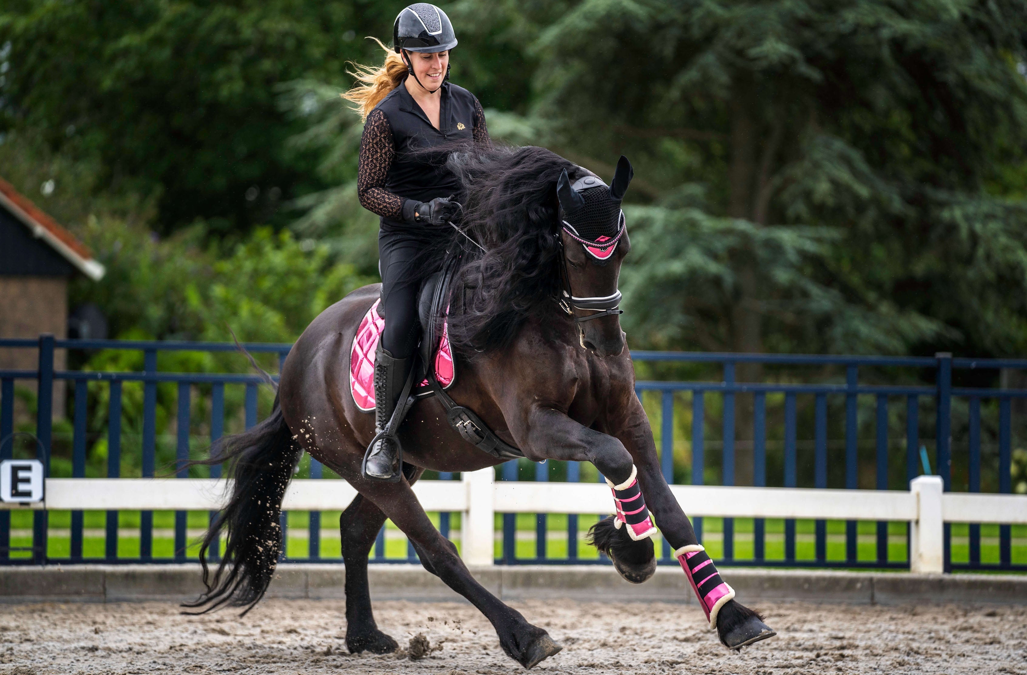 Neon Pink Brushing Boots - Equine Exchange Tack Shop