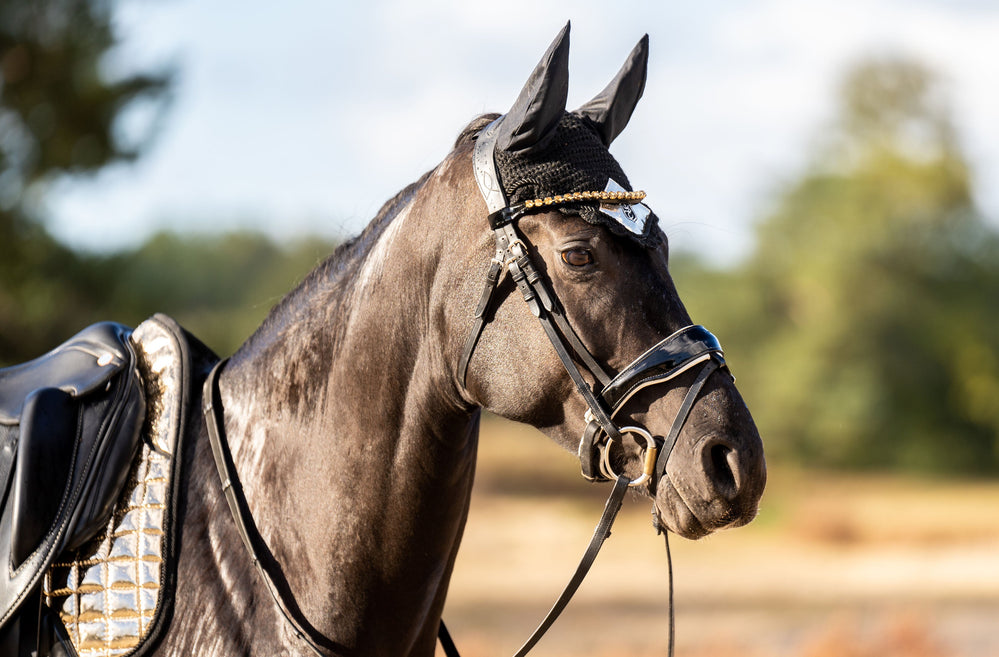 Aurum Fly Hat - Equine Exchange Tack Shop