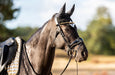 Aurum Fly Hat - Equine Exchange Tack Shop