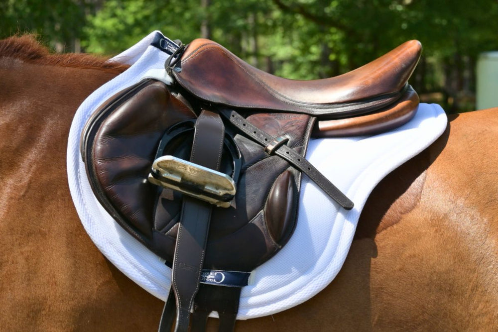 Contour Jump Mesh Saddle Pad with Quick Dry Cotton Lining in Navy, White or Black - Equine Exchange Tack Shop