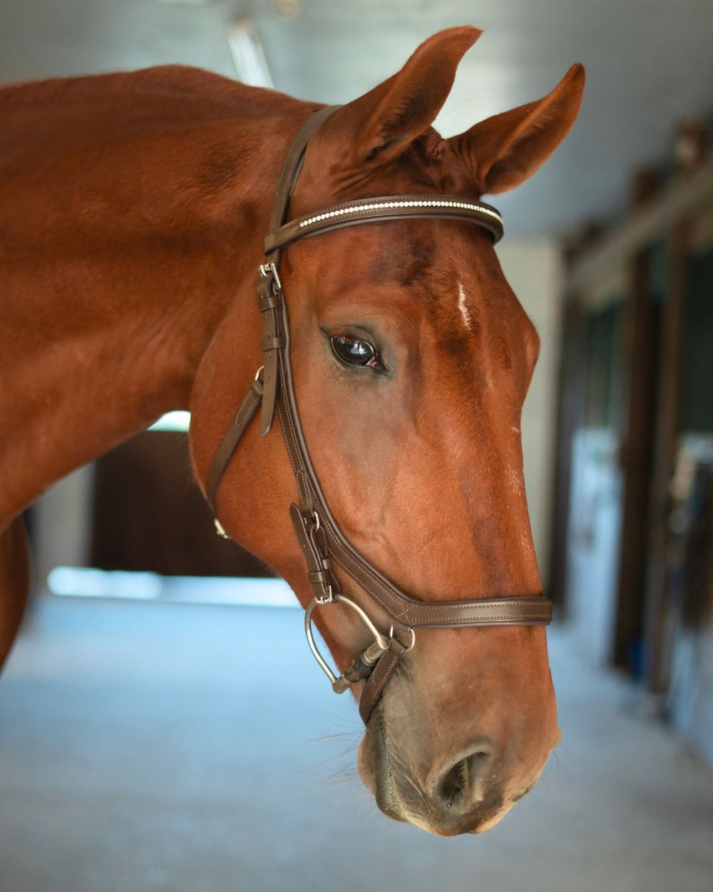 Hidden Flash!  Pro-Fit Comfortable Bridle - Equine Exchange Tack Shop