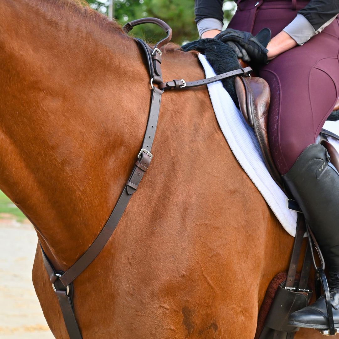 3-Point Breastplate with Double Neck Strap - Equine Exchange Tack Shop