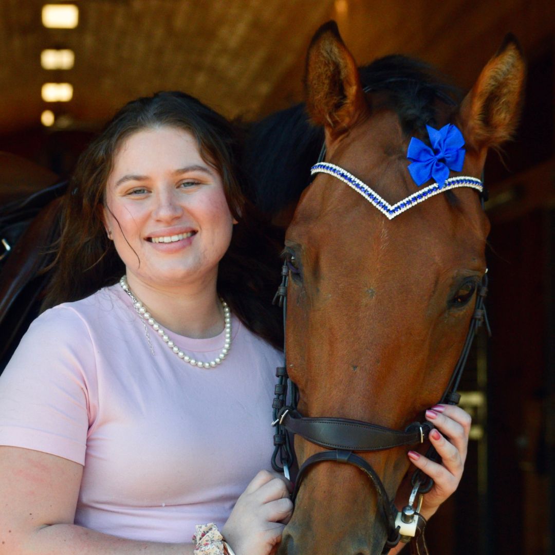 Blue Astra Browband - Equine Exchange Tack Shop