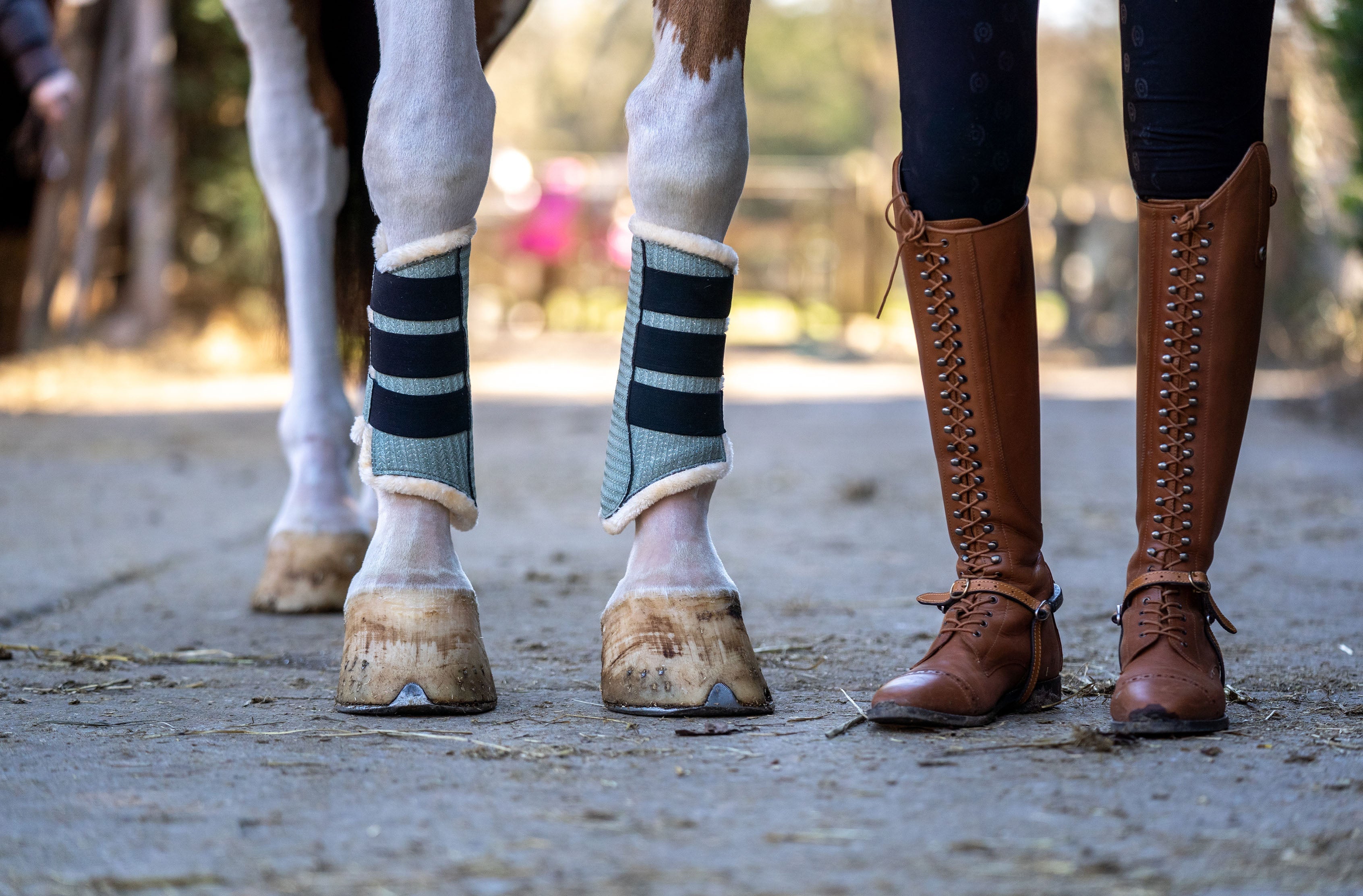 Teaparty Green Brushing Boots - Equine Exchange Tack Shop