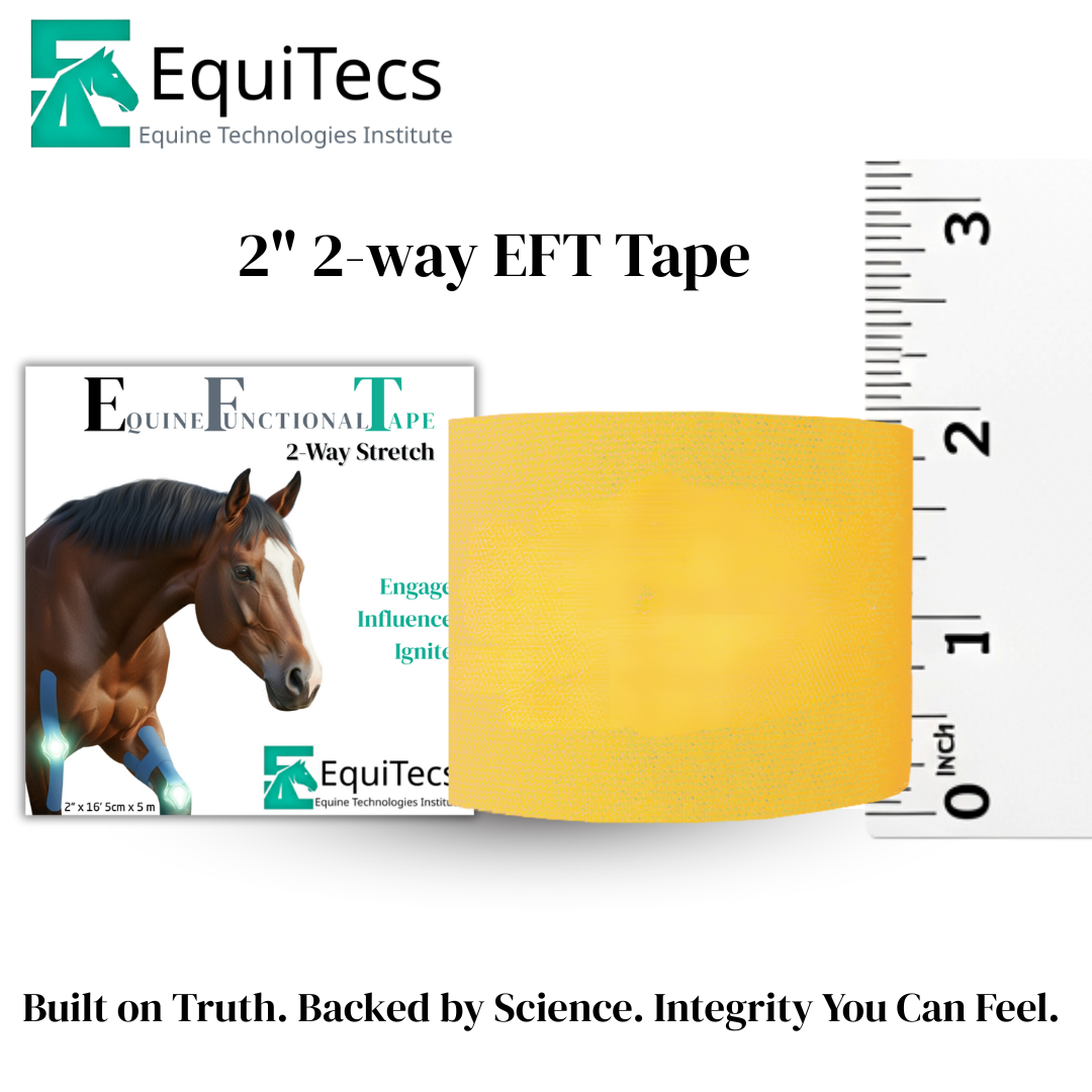 Advantage Black 2" - Equine Exchange Tack Shop