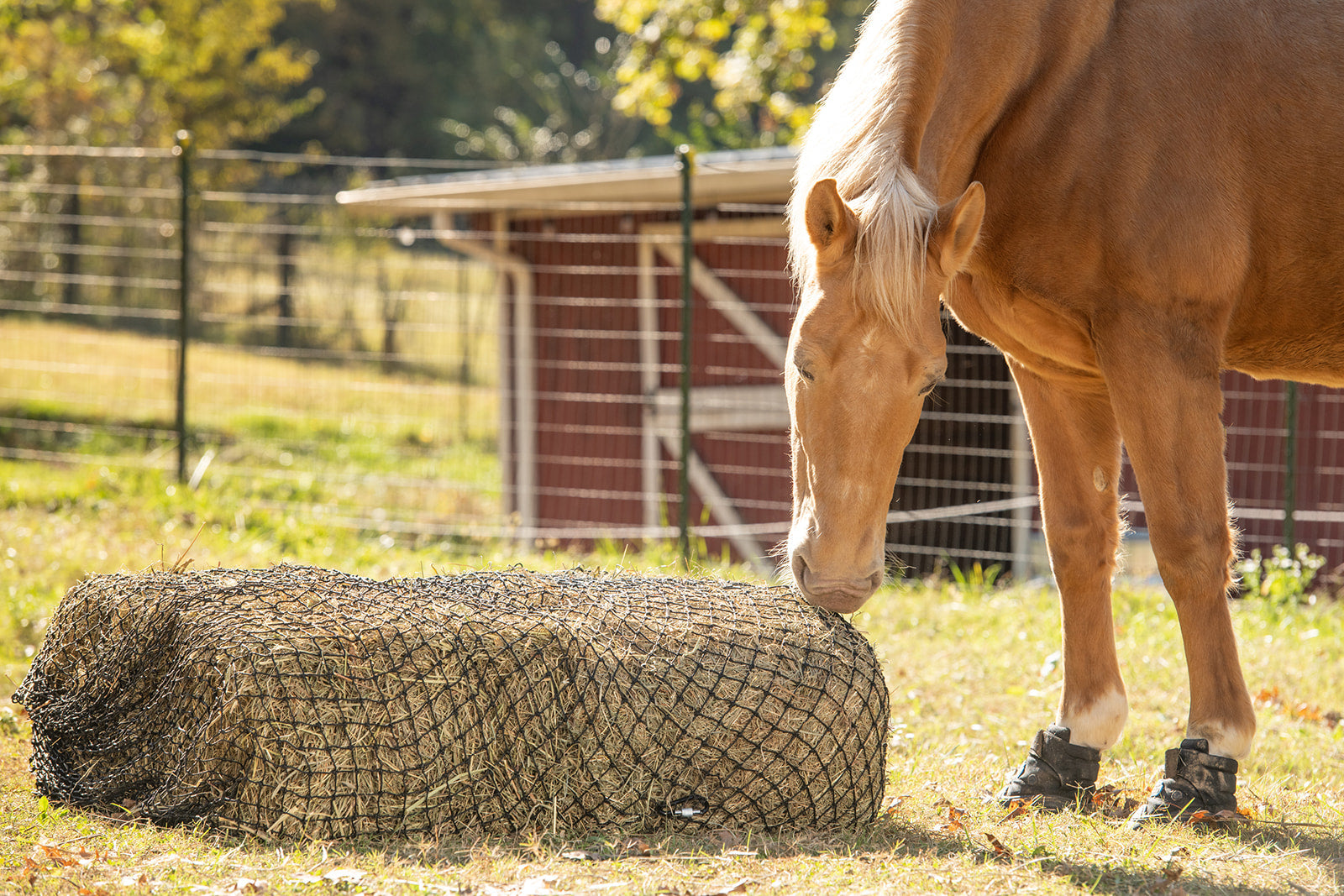 3 String Square Bale Hay Net - Equine Exchange Tack Shop