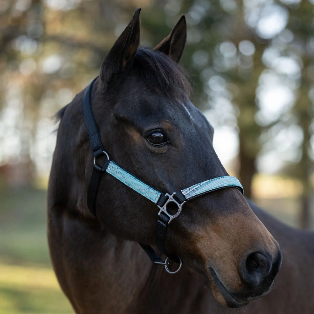 Premium Nylon Breakaway Halter