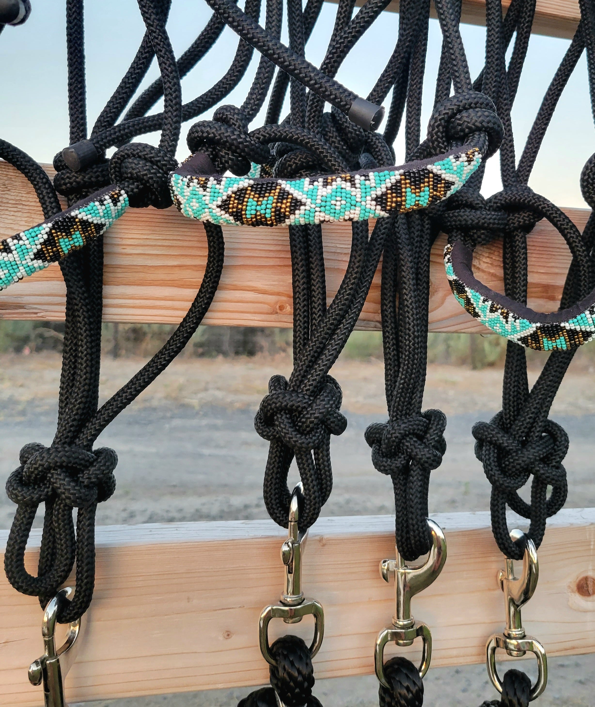 The Cassidy Halter - Equine Exchange Tack Shop