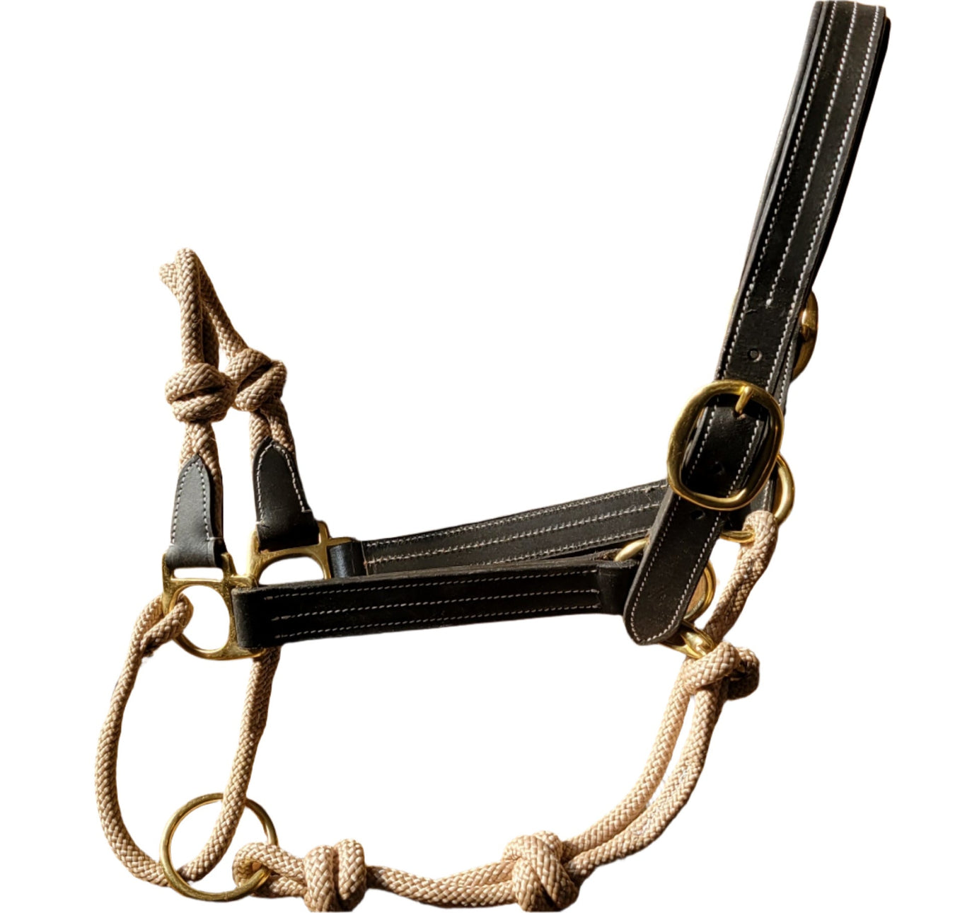 Tack - Halters/Leads - Halters