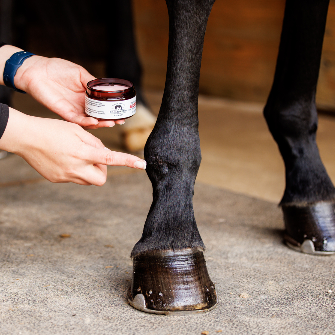 Formula 44 Ointment - Equine Exchange Tack Shop