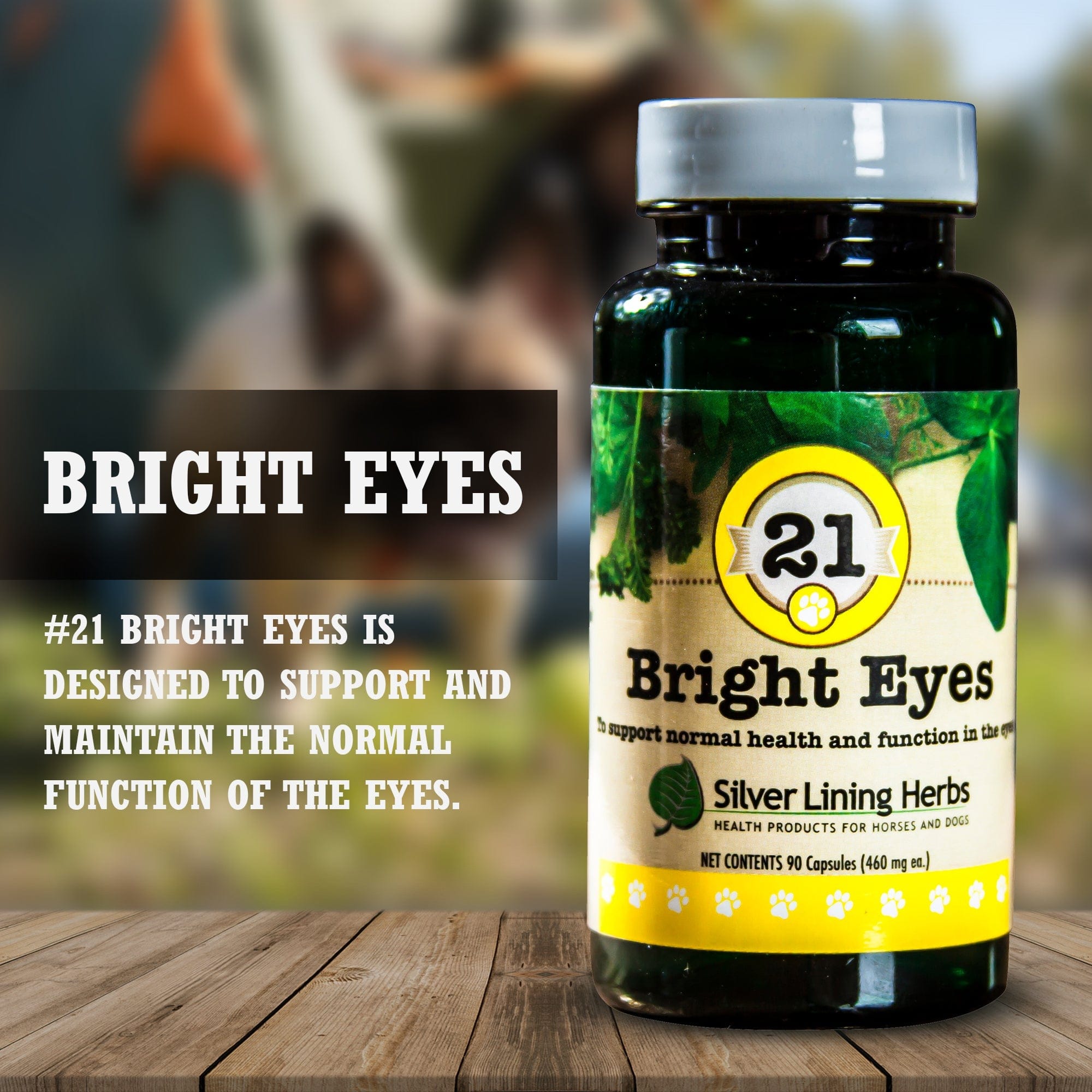 21 Bright Eyes for Canines - Equine Exchange Tack Shop