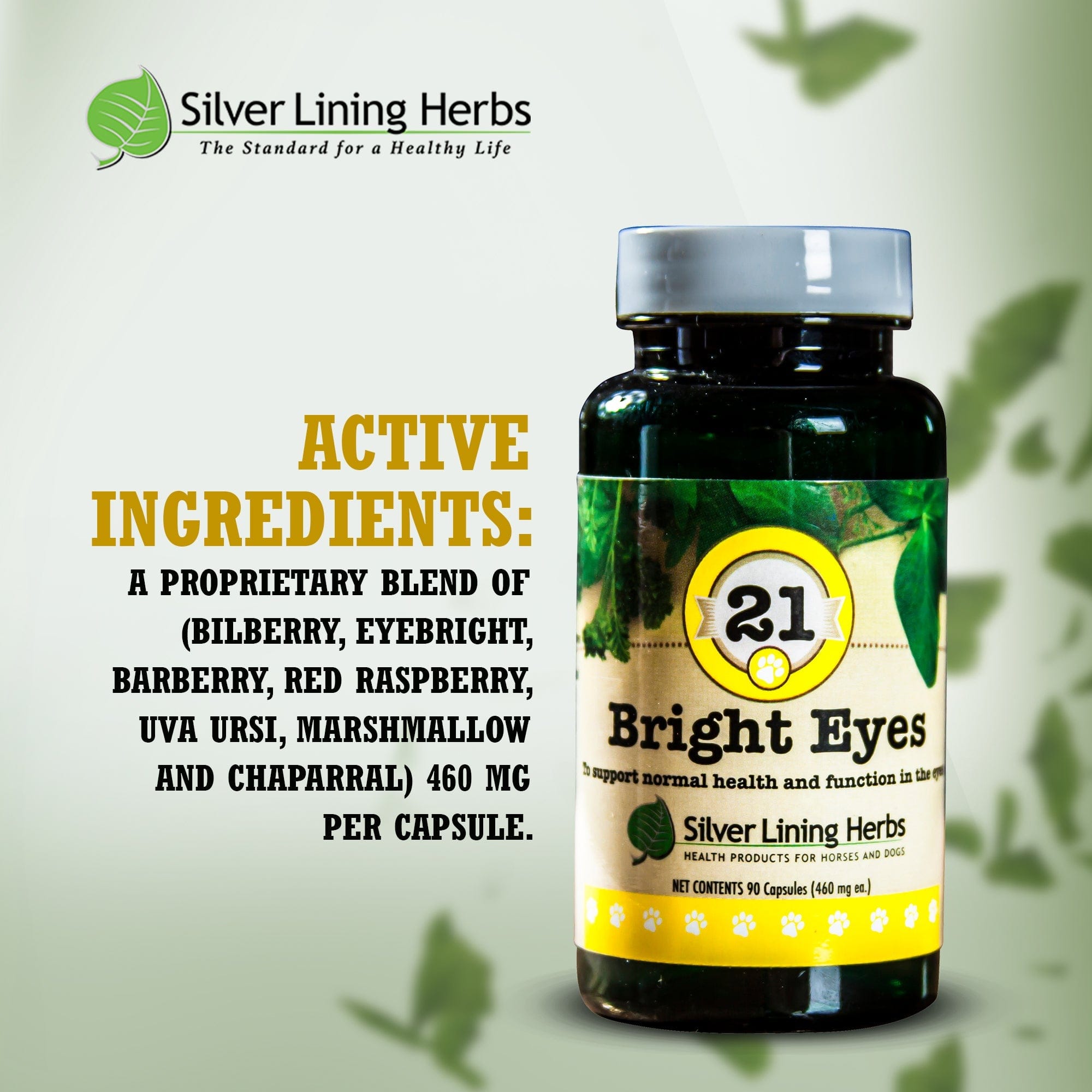 21 Bright Eyes for Canines - Equine Exchange Tack Shop