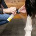 Silver Honey Dry Wound Spray - Equine Exchange Tack Shop