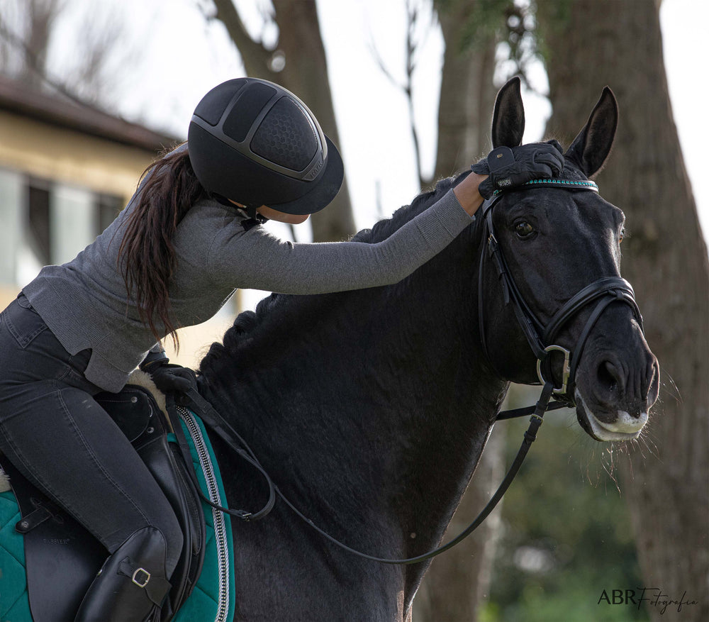 Teal Browband - Equine Exchange Tack Shop