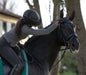 Teal Browband - Equine Exchange Tack Shop