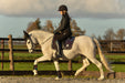 Ultraviolet Saddle Pad Set - Equine Exchange Tack Shop