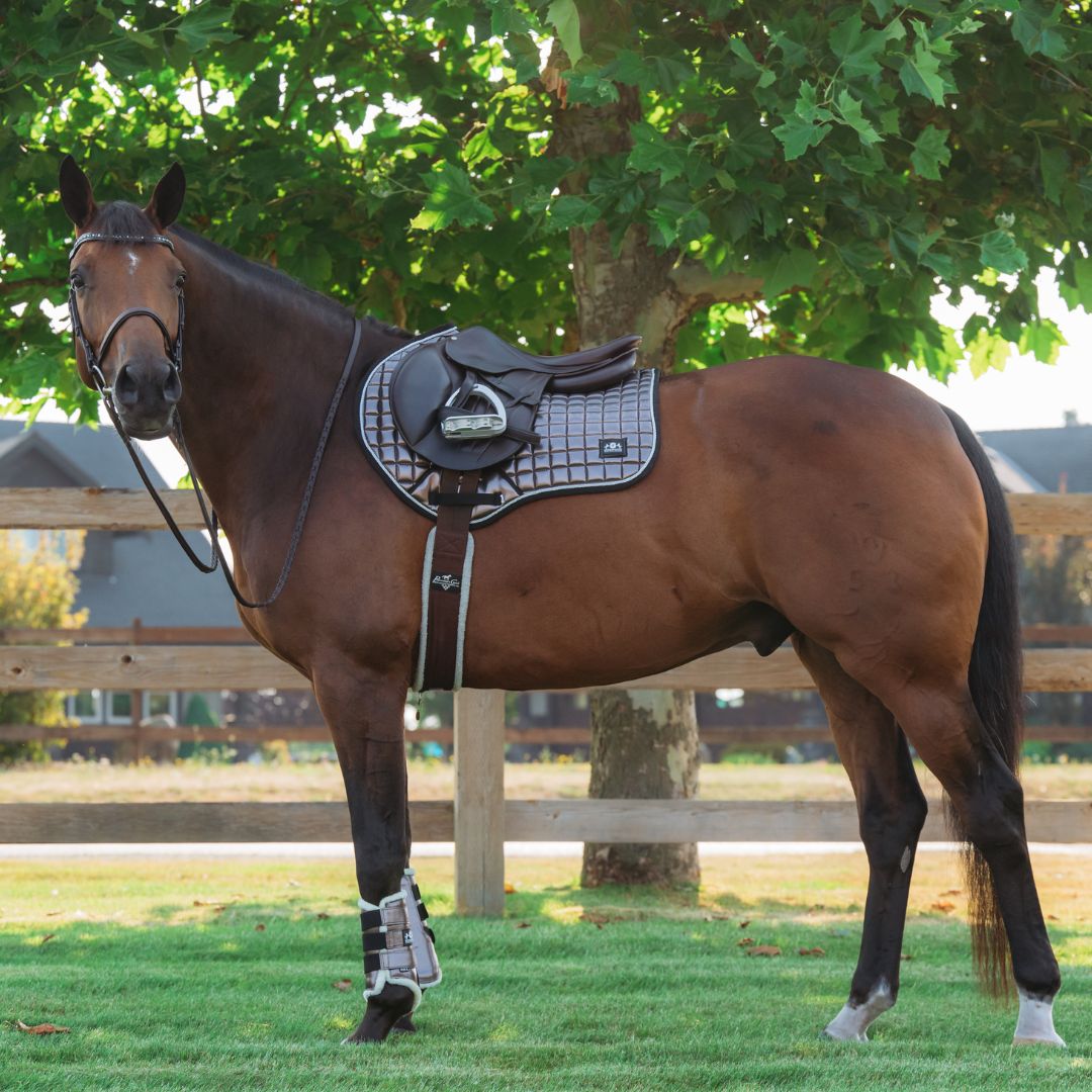 Spaceship Grey Brushing Boots - Equine Exchange Tack Shop