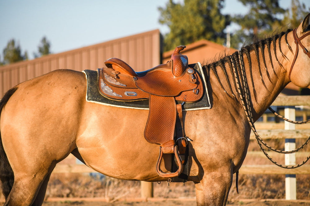 Jade Green Western Saddle Pad - Equine Exchange Tack Shop