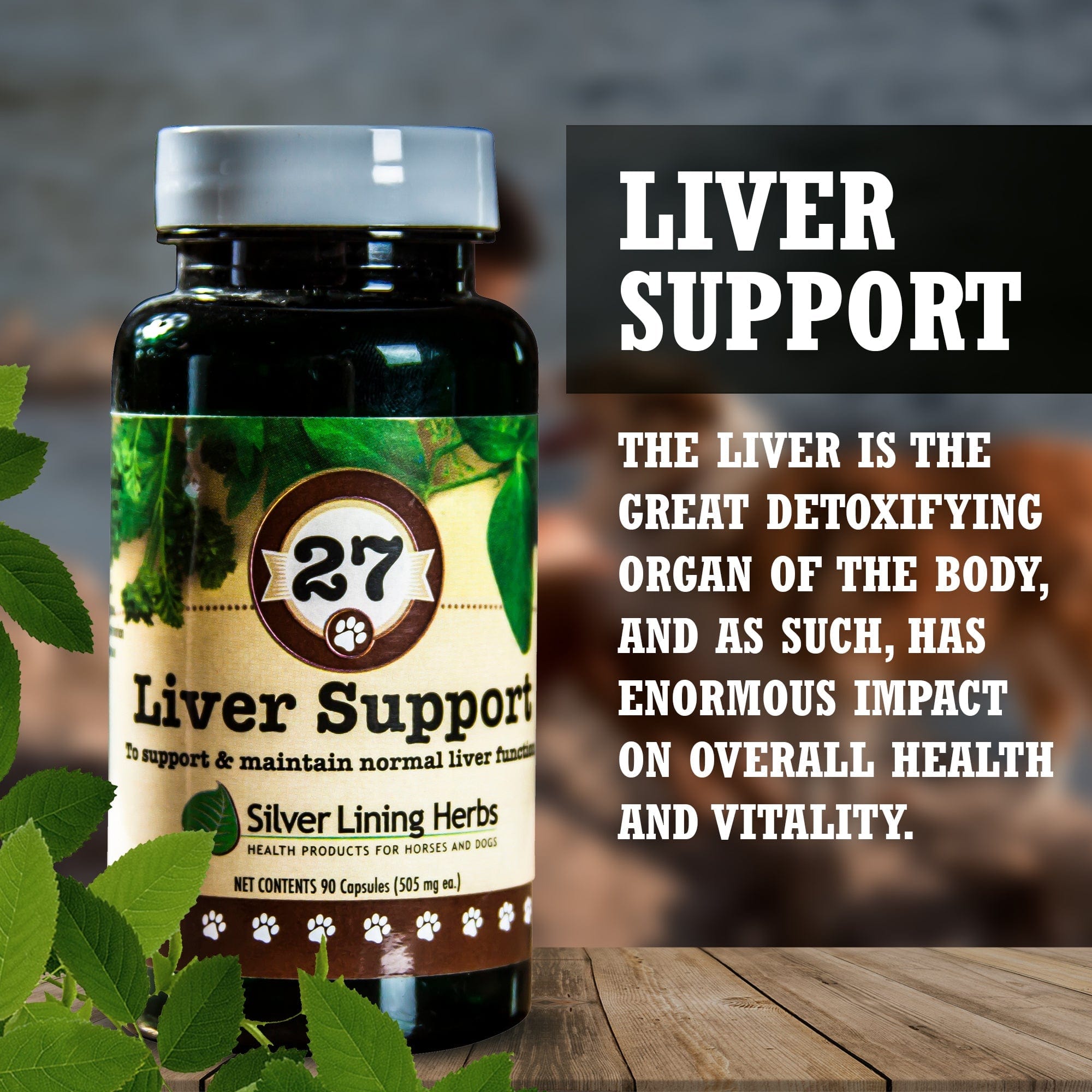 27 Liver Support for Canines - Equine Exchange Tack Shop
