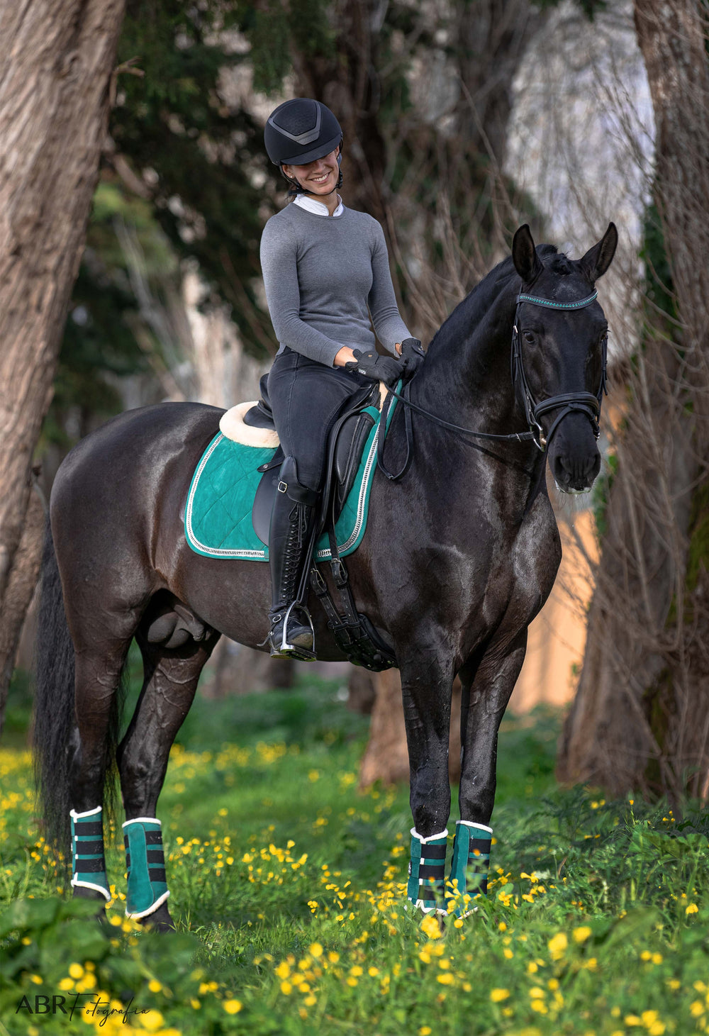 Teal Saddle Pad Set - Equine Exchange Tack Shop