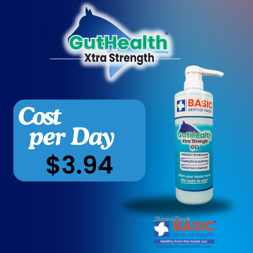 GutHealth Xtra Strength Gel for Horses - Bottles - Equine Exchange Tack Shop