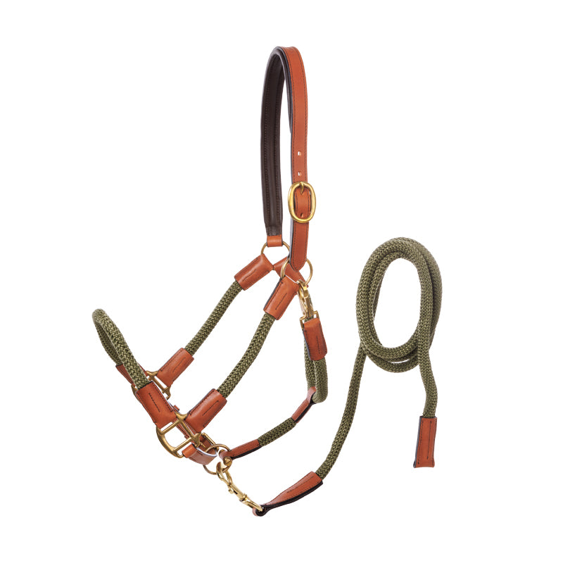 Leather/Rope Halter With Lead