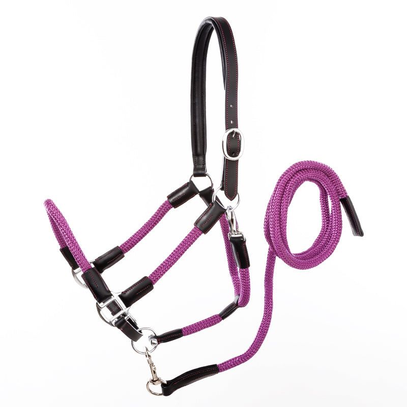 Leather/Rope Halter With Lead