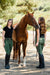 Athletic Breech - Evergreen - Equine Exchange Tack Shop