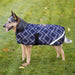 1200D 180G Medium Weight Waterproof & Breathable Dog Coat - Equine Exchange Tack Shop
