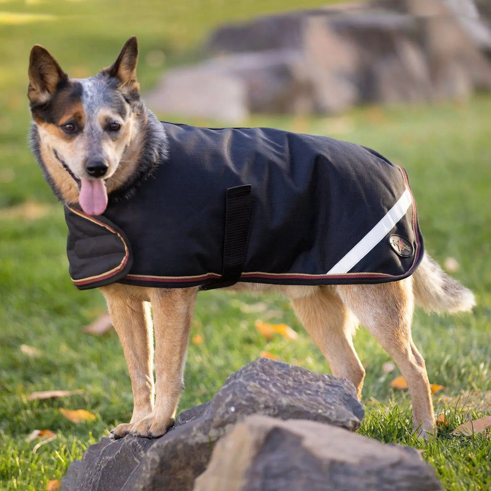 1200D 180G Medium Weight Waterproof & Breathable Dog Coat - Equine Exchange Tack Shop