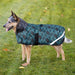1200D 180G Medium Weight Waterproof & Breathable Dog Coat - Equine Exchange Tack Shop