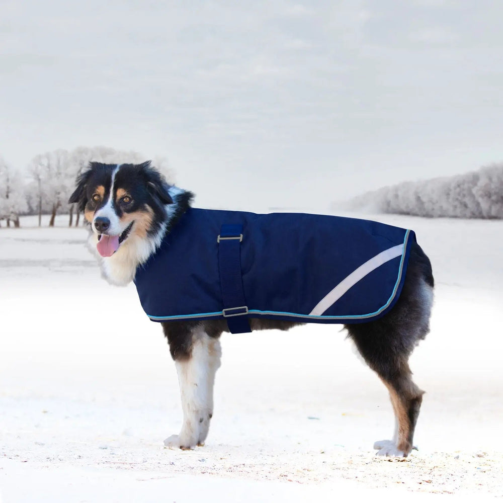 1200D 180G Medium Weight Waterproof & Breathable Dog Coat - Equine Exchange Tack Shop