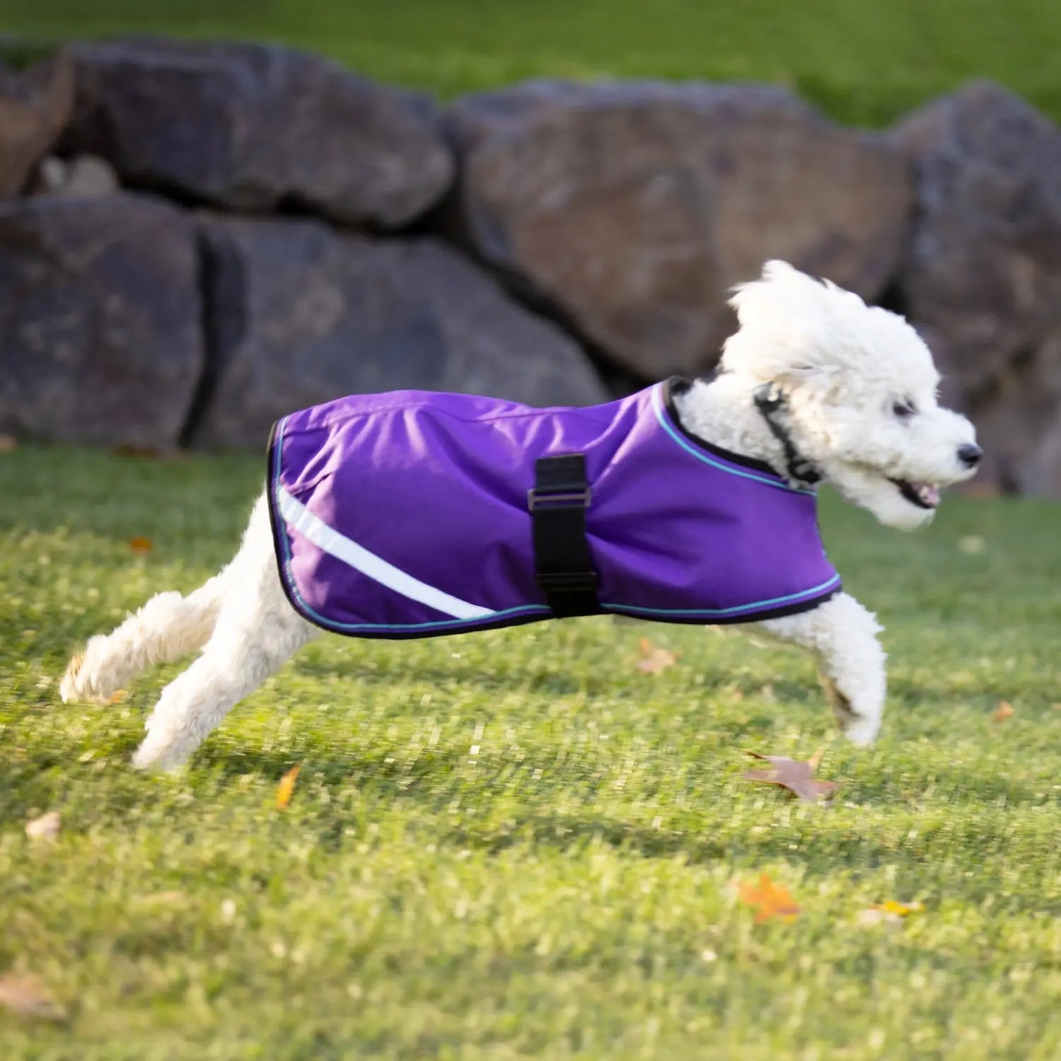 1200D 180G Medium Weight Waterproof & Breathable Dog Coat - Equine Exchange Tack Shop