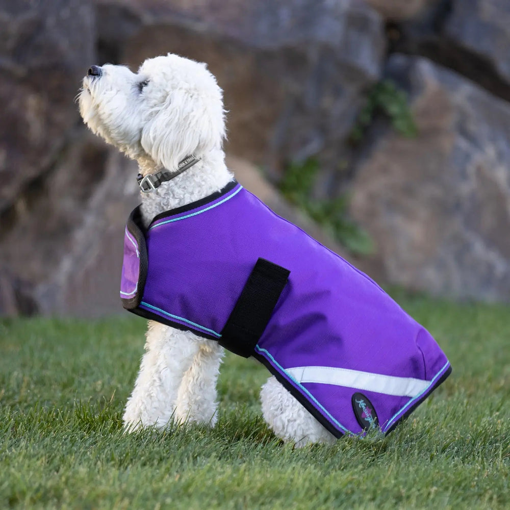 1200D 180G Medium Weight Waterproof & Breathable Dog Coat - Equine Exchange Tack Shop