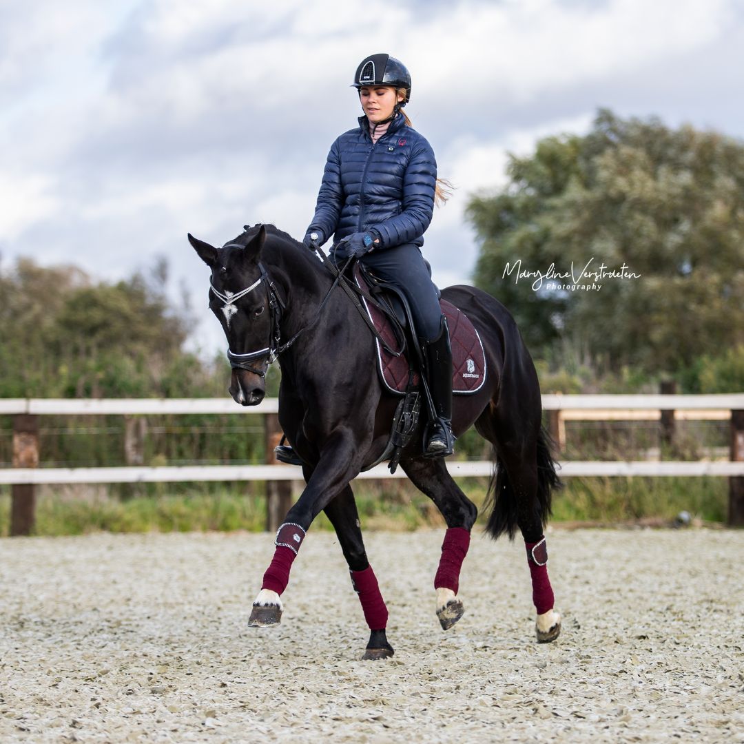 Burgundy Saddle Pad Set - Equine Exchange Tack Shop
