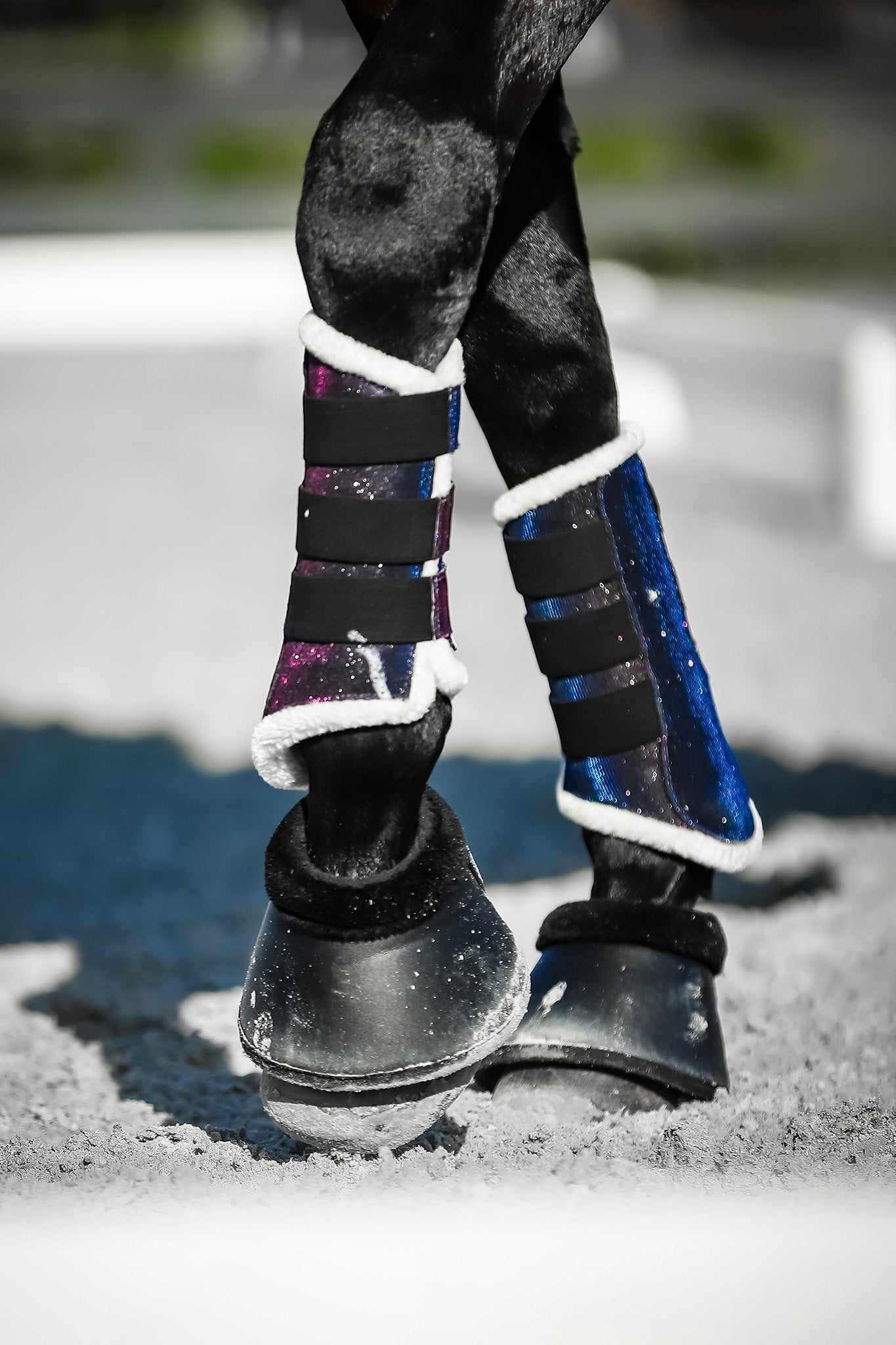 Ultraviolet Brushing Boots - Equine Exchange Tack Shop