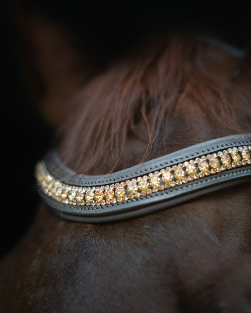 Hidden Flash!  Pro-fit Comfortable Bridle with Patent Noseband and Crystal Browband - Equine Exchange Tack Shop