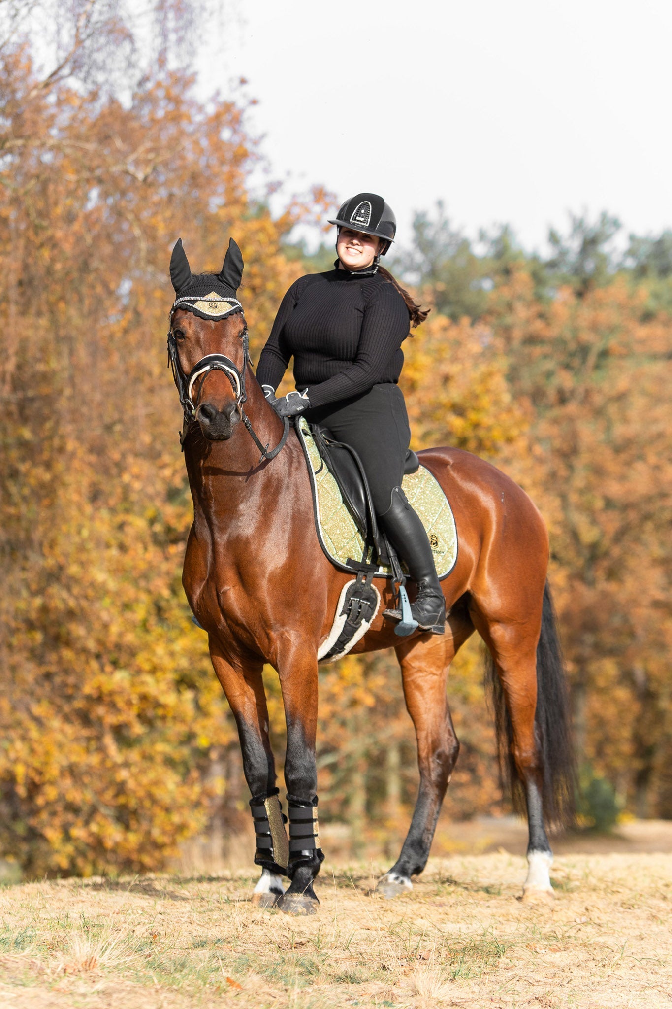 Astris Saddle Pad Set - Equine Exchange Tack Shop