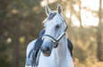 Stardust Grey Halter - Equine Exchange Tack Shop